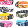 Release lights nylon collars pet adjustable safety leads - Small and medium dogs cats quick