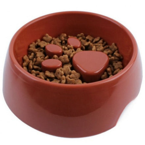 Dog Feeding Bowl